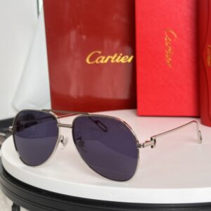 Cartier CT0110S High Quality Pilot Metal Frame Sunglasses Men Women 1:1 Unisex Frog Mirror