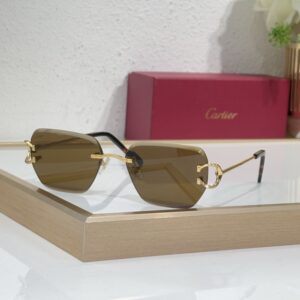 CARTIER CT0597 New High-Quality Fashionable Aesthetically Pleasing Frameless Square SUNGLASSES Women Men