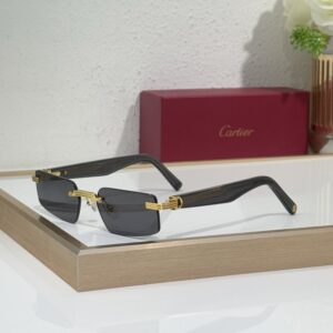 CARTIER CT0537S New High-Quality Fashionable Aesthetically Pleasing frameless Rectangular SUNGLASSES Women Men